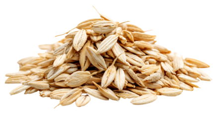 Paddy Rice Grains Closeup Harvest Agriculture Food