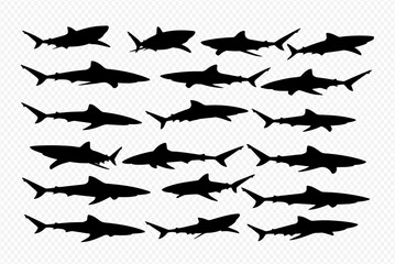 A collection of black shark silhouettes arranged in rows on a transparent background.