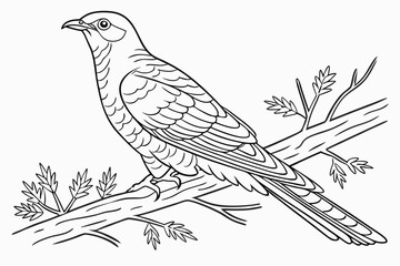 coloring page line art the cuckoo black vector