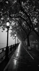 Black and white path lined with trees and lamps