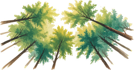 Watercolor painting of a dense summer forest canopy viewed from below with layered green foliage and yellow highlights on white background

