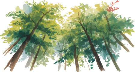 Watercolor painting of a dense summer forest canopy viewed from below with layered green foliage and yellow highlights on white background

