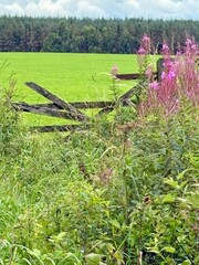 View of an old broken unused fence into the a field, with a view of the countryside and fresh...