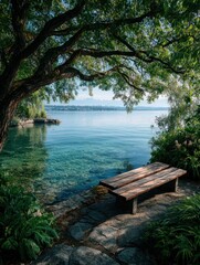 Lakeside bench under a tree