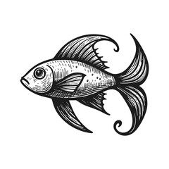 Stylized fish illustration in monochrome line art, vector