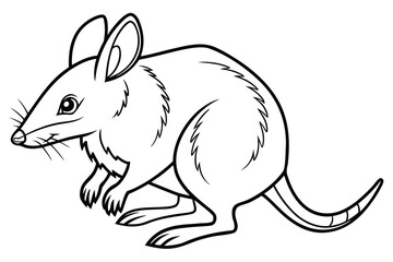 Fototapeta premium coloring page line art the bandicoot black vector