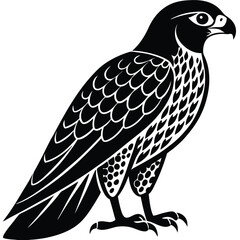 Fototapeta premium Black falcon bird silhouette with detailed feather patterns white