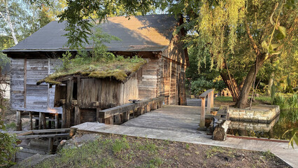 Wooden Cabin Surrounded by Green Trees