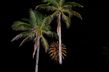 4. Juli Feuerwerk in Florida - USA