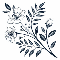 Elegant floral branch with blossoms isolated on white background
