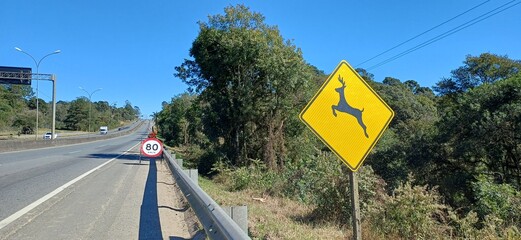 Großes gelbes Raute-Schild: Achtung Rehe & Wildwechsel – Warnung an Landstraße