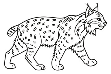 coloring page line art the bobcat black vector