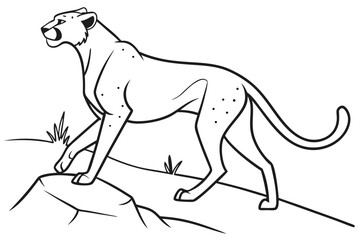 coloring page line art the cheetah black vector