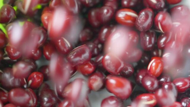 Red adzuki mung beans falling in slow motion