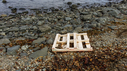 bering island. Wooden pallet resting on rocky shoreline surrounded by seaweed, with calm water in...