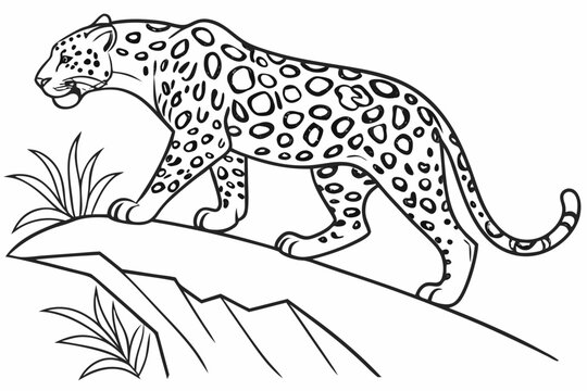 black and white leopard walking on rock clip art preview