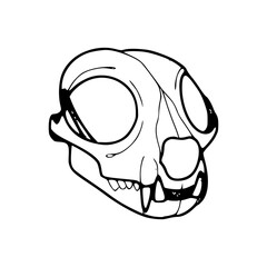at skull vector illustration