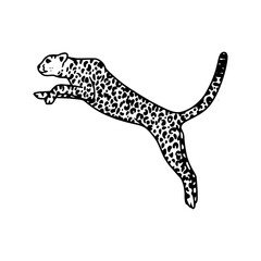 jumping big cat black and white art