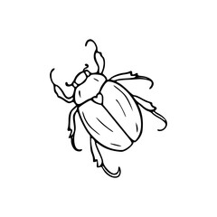 bug line art drawing
