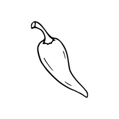 hot chili pepper drawing - line art