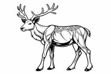 coloring page line art the caribou black vector