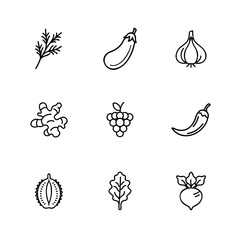 Collection of Fresh Produce and Culinary Herbs Vector Icons