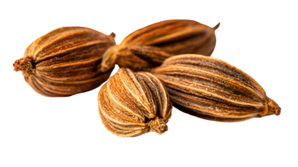 Aromatic Brown Cardamom Pods Spice Closeup