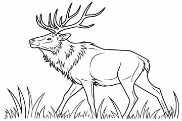 coloring page line art the elk black vector