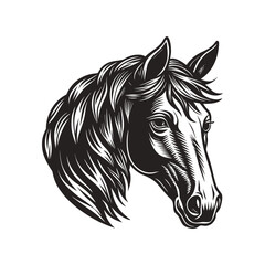 Best horse
