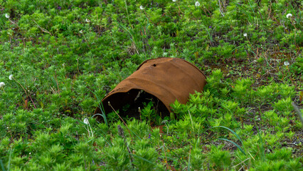 Rusty metal container partially buried in lush green grass, surrounded by wildflowers, showcasing nature reclaiming discarded objects in a vibrant outdoor setting