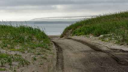 Sandy path leads to tranquil beach, bordered by lush green grass, with gentle waves lapping at the shore under a cloudy sky, inviting exploration and relaxation