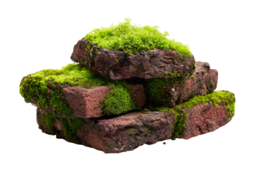 Mossy Bricks Nature Texture Green Background