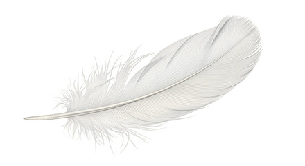 White feather against black background