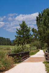 Bridge on the George S. Mickelson trail, South Dakota