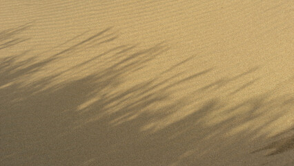 Shadows cast on golden sand dunes create a mesmerizing pattern, highlighting the texture and contours of the landscape, evoking a sense of tranquility and natural beauty