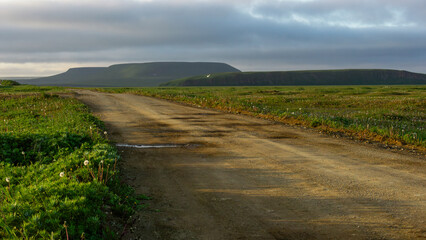 Dirt road winding through lush green landscape, leading towards distant hills under a cloudy sky, capturing the essence of nature's tranquility and exploration