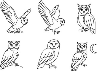 Fototapeta premium Vector art of collection of owl illustrations in various poses and styles