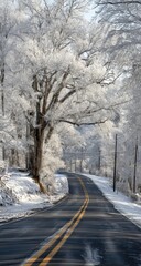 Snowy winter road winding through frosted trees