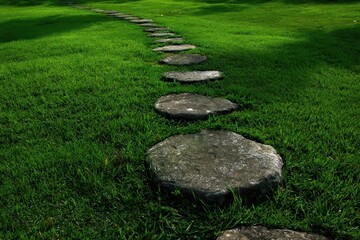 Natural Stone Pathway Through Lush Green Lawn: A Scenic Gardening Journey Across Single Rock Stepping Stones