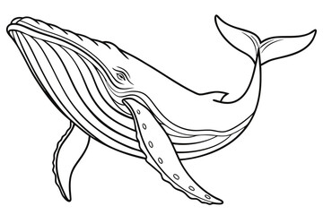 coloring page line art the whale black vector