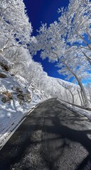 Winter road winding through snowy mountain landscape