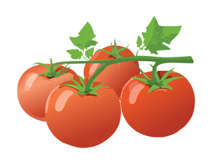 Ripe Red Tomatoes on a Branch - Vector Illustration