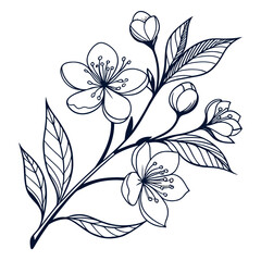 Delicate hand drawn outline of a blooming cherry blossom branch with leaves and buds