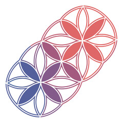 Geometric flower of life pattern with blue to red gradient on white background