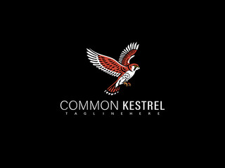 Vector illustration of a common kestrel in majestic flight with tail feathers fanned, rendered in elegant monochrome line art for branding, nature-focused prints, and wildlife identity assets.

