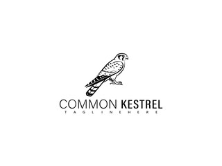 Obraz premium Graceful black and white line vector of a perched kestrel on bark, designed for decorative bird-themed packaging, educational nature posters, and elegant design elements.
