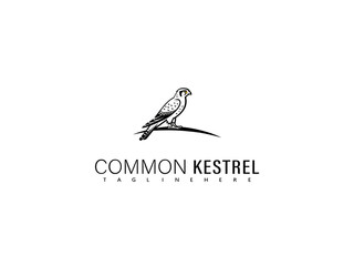 Fototapeta premium Artistic vector of a common kestrel diving mid-flight, drawn in flowing black and white curves, ideal for birdwatching infographics, branding identity, and wildlife wall decor.