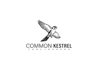 Fototapeta premium Elegant common kestrel perched on a twig, vectorized in black and white with soft detail lines, perfect for natural history illustrations, editorial branding, and bird-themed merchandise.