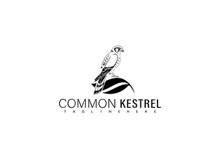 Side profile vector illustration of a flying common kestrel with strong wing symmetry and clean line art, ideal for sophisticated logos, branding visuals, and wildlife art prints.

