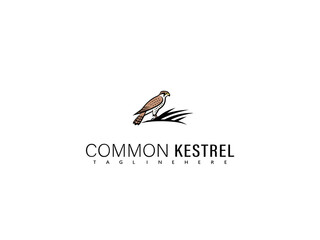Obraz premium Artistic common kestrel in flight rendered in elegant vector style with smooth lines, ideal for branding collections, book illustrations, and bird conservation themes.